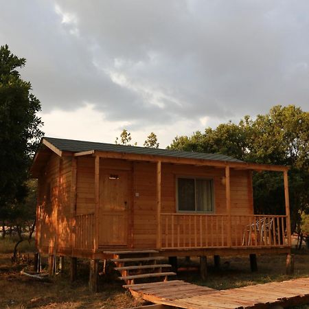 Jambo Mara Safari Lodge Ololaimutiek ห้อง รูปภาพ
