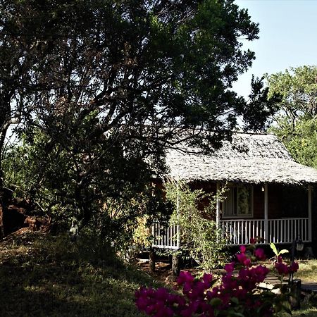 Jambo Mara Safari Lodge Ololaimutiek ภายนอก รูปภาพ