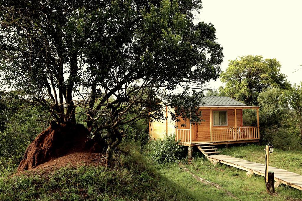 Jambo Mara Safari Lodge Ololaimutiek ห้อง รูปภาพ