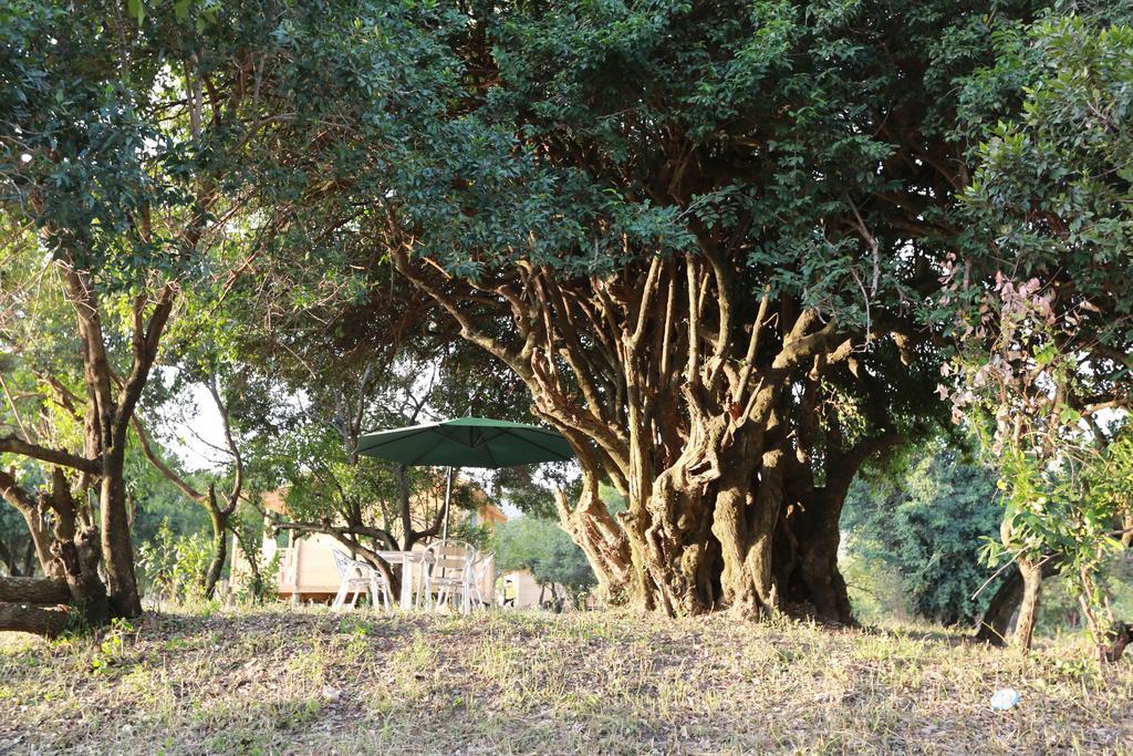 Jambo Mara Safari Lodge Ololaimutiek ภายนอก รูปภาพ