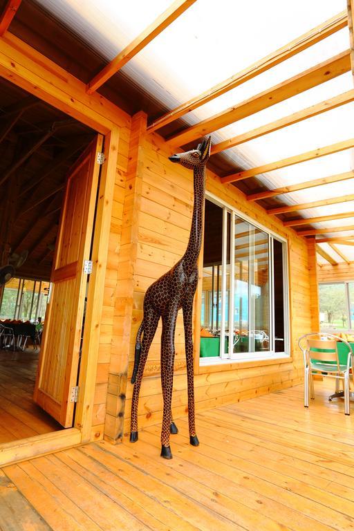 Jambo Mara Safari Lodge Ololaimutiek ห้อง รูปภาพ