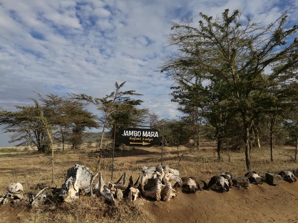 Jambo Mara Safari Lodge Ololaimutiek ภายนอก รูปภาพ