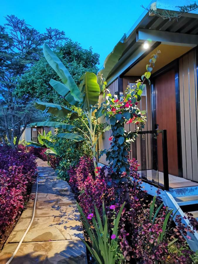 Jambo Mara Safari Lodge Ololaimutiek ภายนอก รูปภาพ
